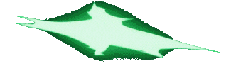 Logo Senior4d